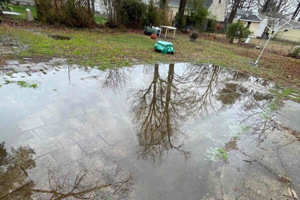 standing water